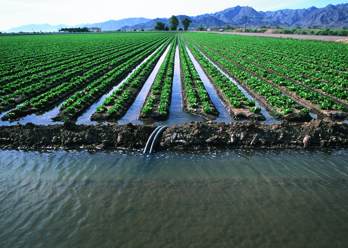 حفاظت کیفیت آب در مقابل رواناب کشاورزی